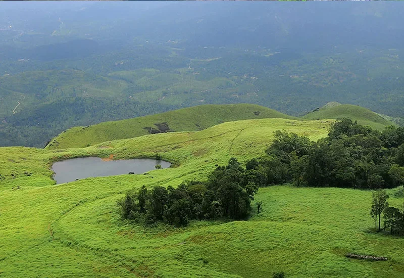 Wild Planet Wayanad