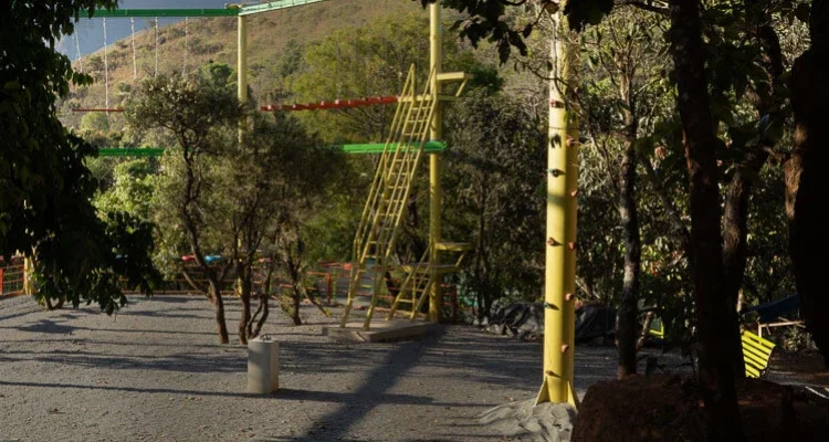 Pole Climbing - Wild Planet Wayanad