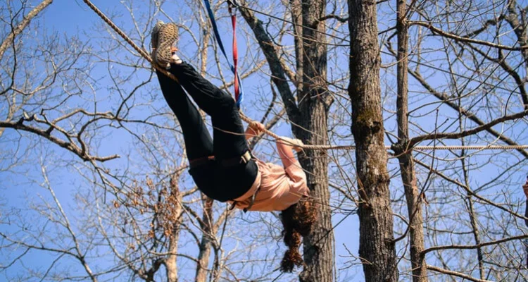 Monkey Crawling - Wild Planet Wayanad
