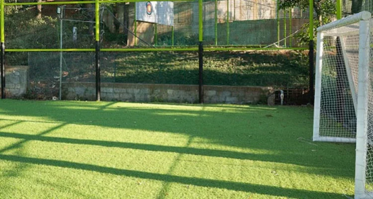 Cricket & Football - Wild Planet Wayanad