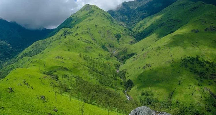 Guided Treks Through Wayanad’s Hills