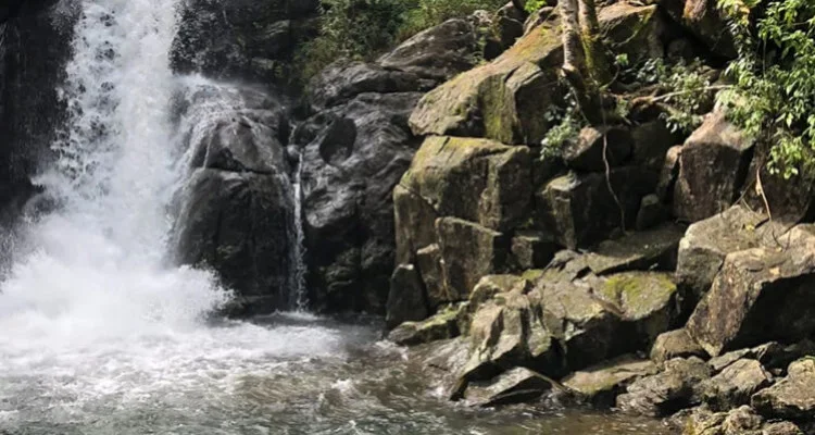 Makkiyad Meenmutty Waterfalls (16 km)