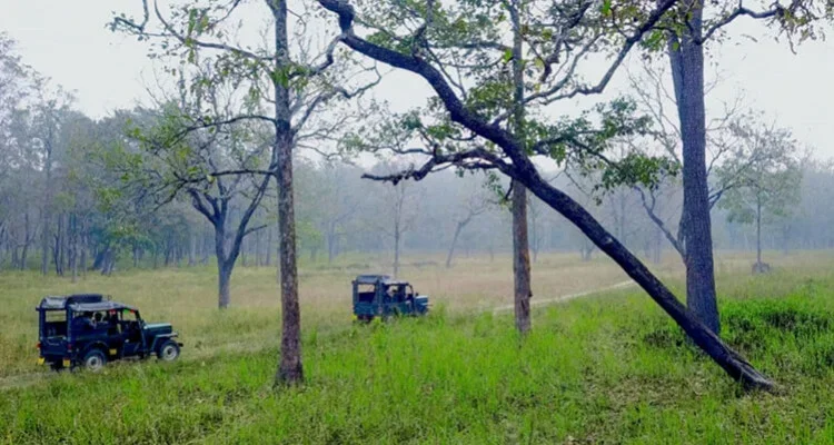 Wayanad Wildlife Sanctuary