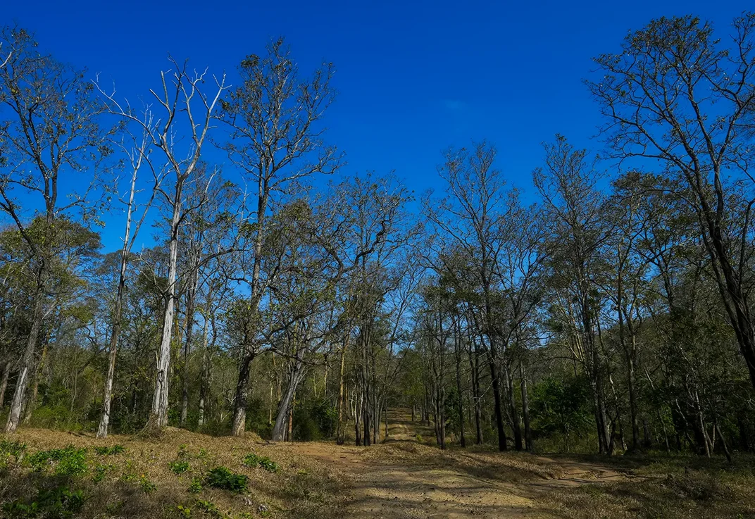 Tholpetty Wildlife Sanctuary