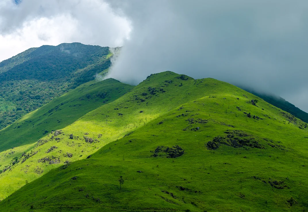 Guided Treks Through Wayanad’s Hills