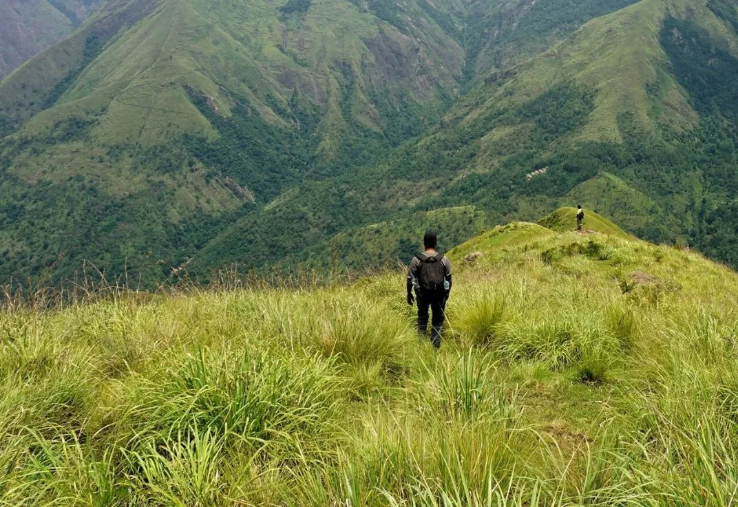 Guided Treks Through Wayanad’s Hills