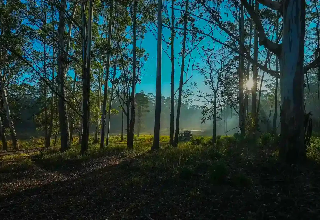 Wayanad Wildlife Sanctuary