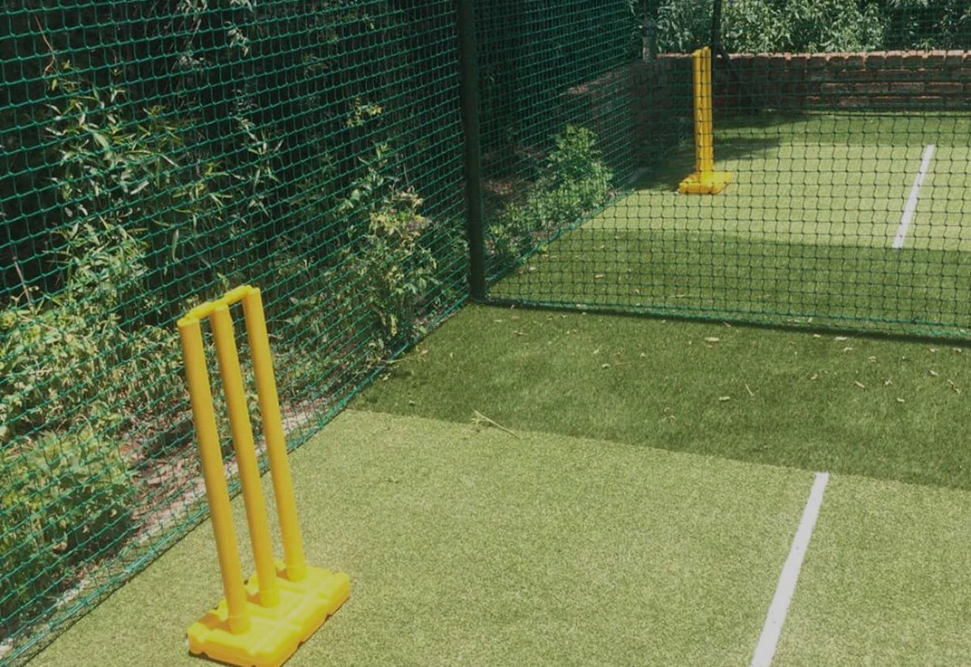 Cricket