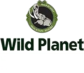 Footer Logo